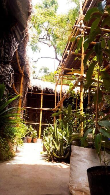 The Vintage House Vila Maiçor Exterior foto